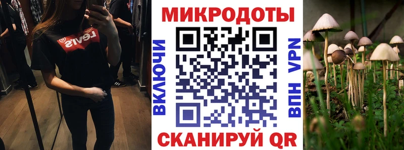 Псилоцибиновые грибы MAGIC MUSHROOMS Верхний Тагил